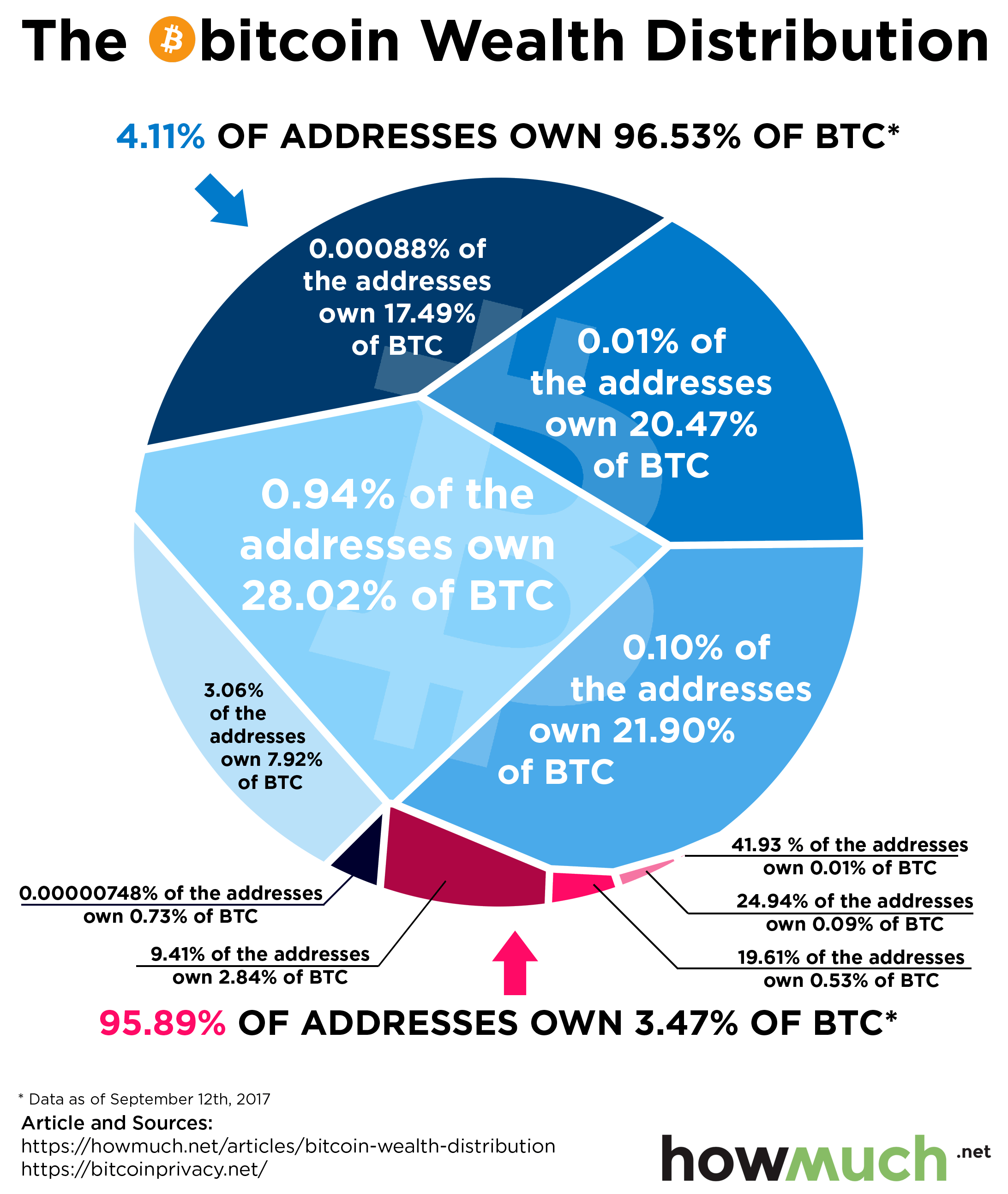 Top Richest Bitcoin Addresses and Bitcoin distribution