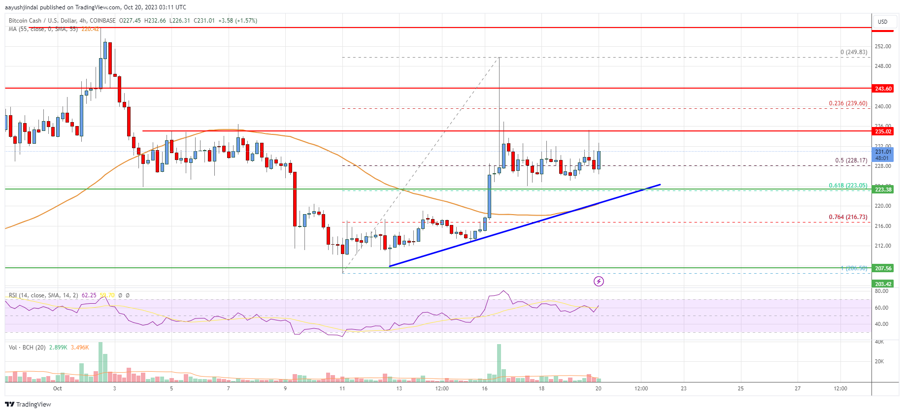 Bitcoin Cash Price | BCH Price Index and Live Chart - CoinDesk