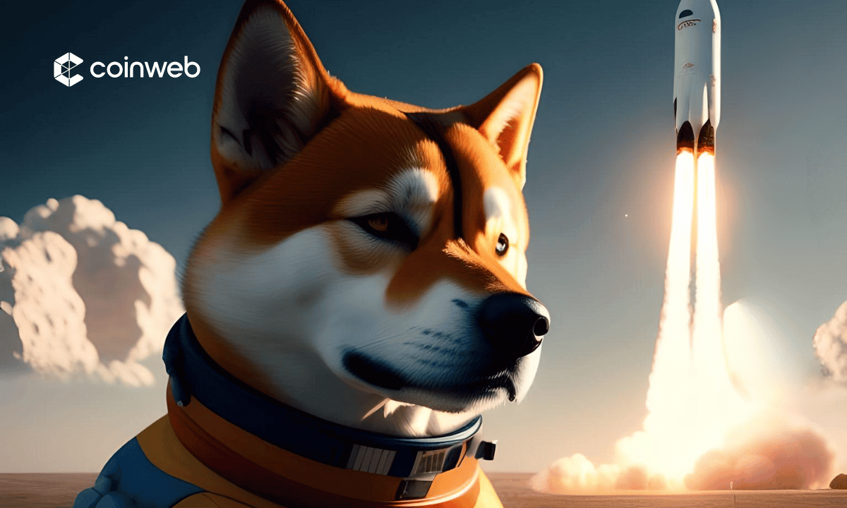 DOGE to BTC | How much is Dogecoin in Bitcoin