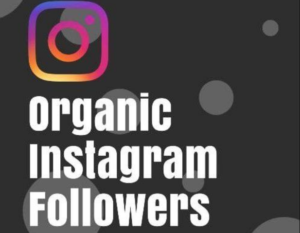 Buy Instagram Followers & Likes UK, Real & Best Price Guaranteed