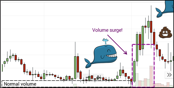 What is a crypto whale and how do they affect the markets? | OKX