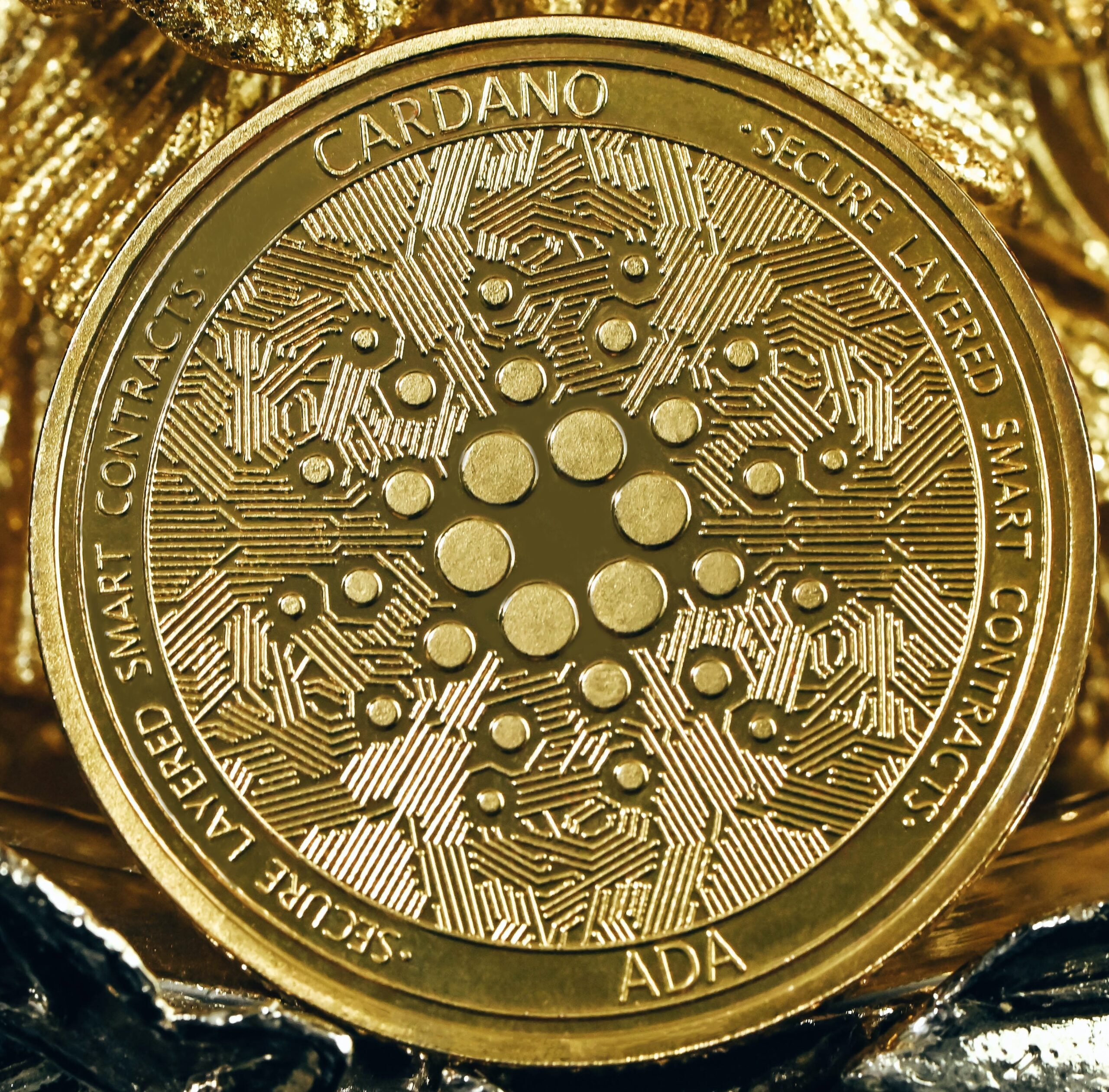 Cardano Gold (CARGO) NFT Rating, Reviews and Details | ICOholder