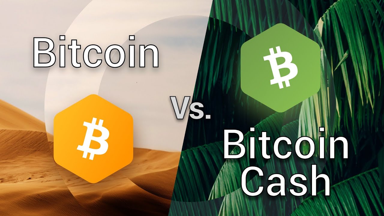 Correlation Between Bitcoin and Bitcoin Cash | cryptolove.fun vs. cryptolove.fun