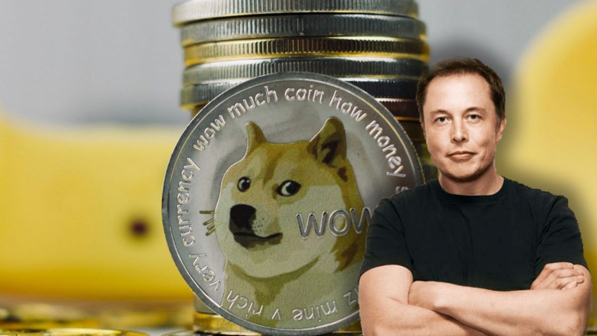 Elon Musk seeks to end $ billion Dogecoin lawsuit | Reuters