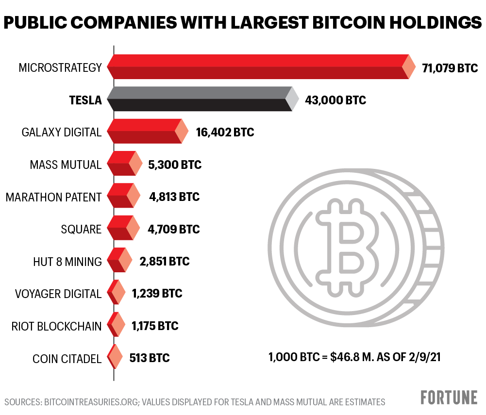 Who Owns The Most Bitcoin? | CoinSmart