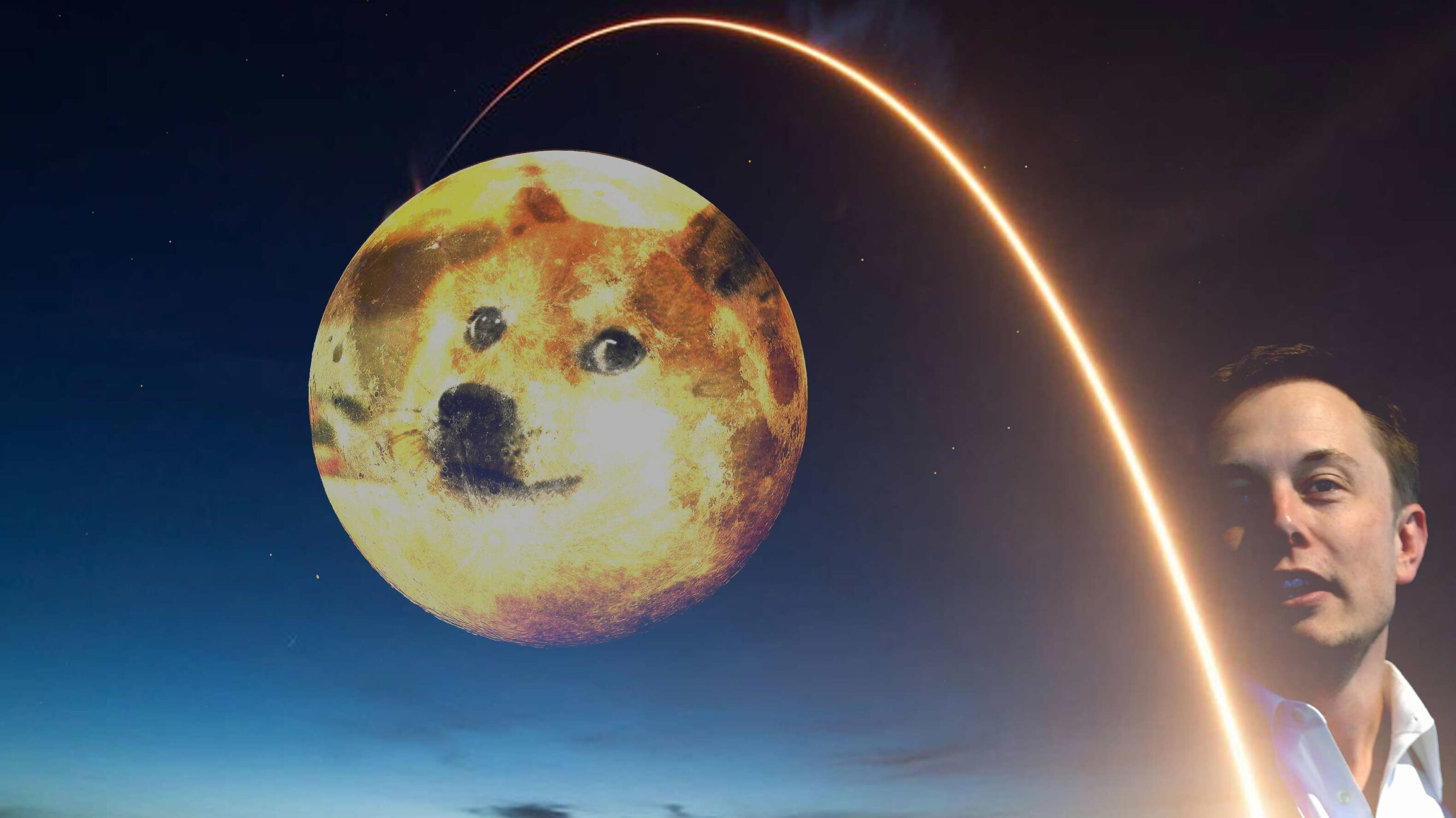 dogecoin: Can Elon Musk’s SpaceX take Dogecoin 'to the Moon'? - The Economic Times