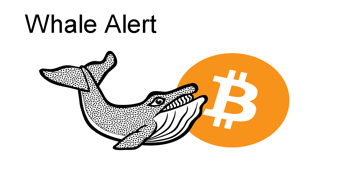 Whale alert! Pump and dumps explained - The Crypto App