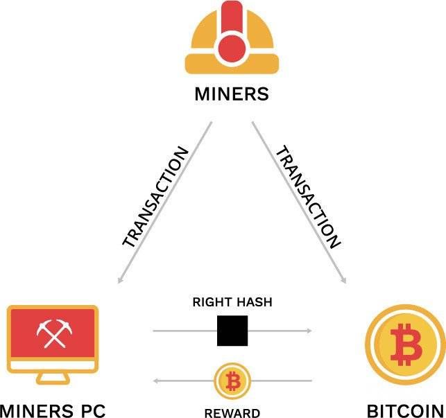 Cryptocurrency Basics: Pros, Cons and How It Works - NerdWallet