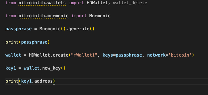 Bitcoin Wallet in Python - DEV Community