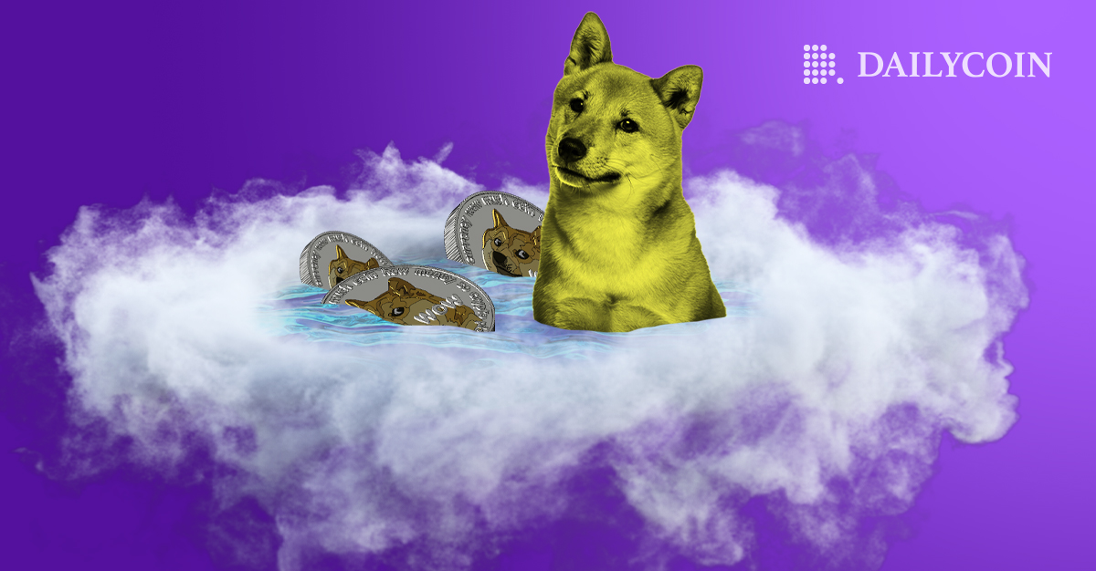 Elon Musk promised to fund Dogecoin, now the foundation accounts are overdue