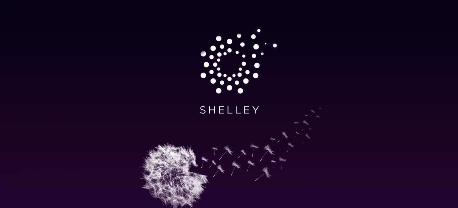 Shelley Phase Definition | CoinMarketCap