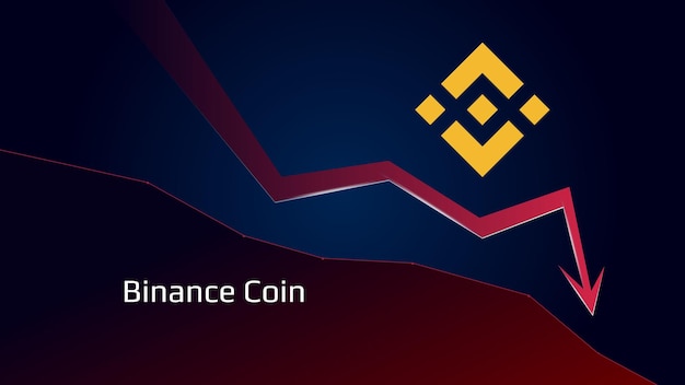 Twelve Hour Outage for Crypto Exchange Binance