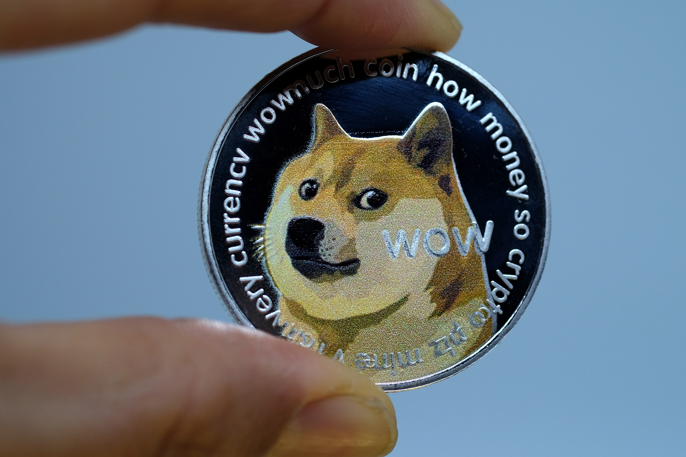 Dogecoin: From Reddit Meme to Elon Musk's Obsession – the Evolution of DOGE | Finance Magnates