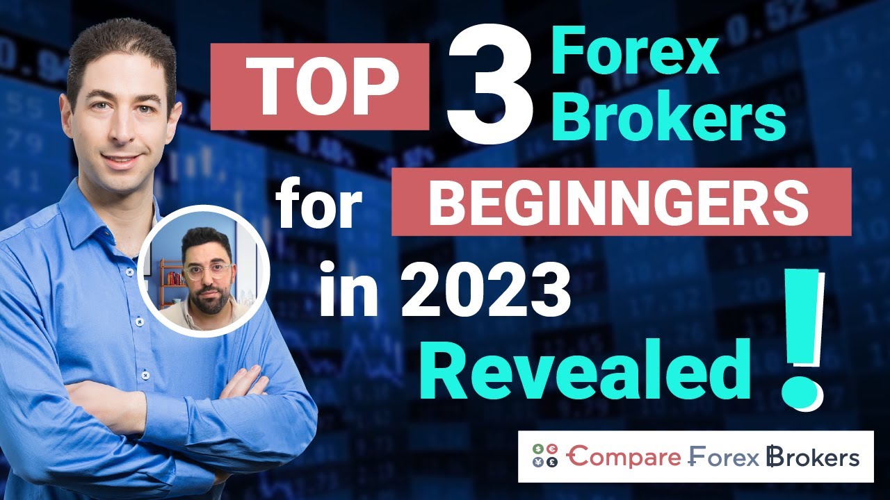 Best Forex Brokers for Beginners ☑️ Top 10 ()