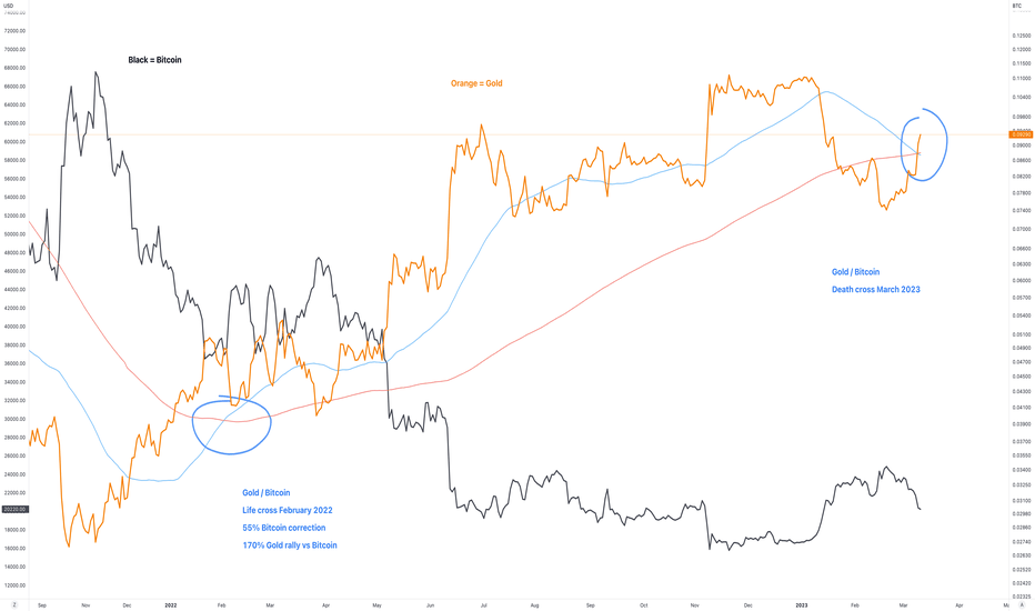 What Are Bitcoin Cash and Bitcoin Gold?