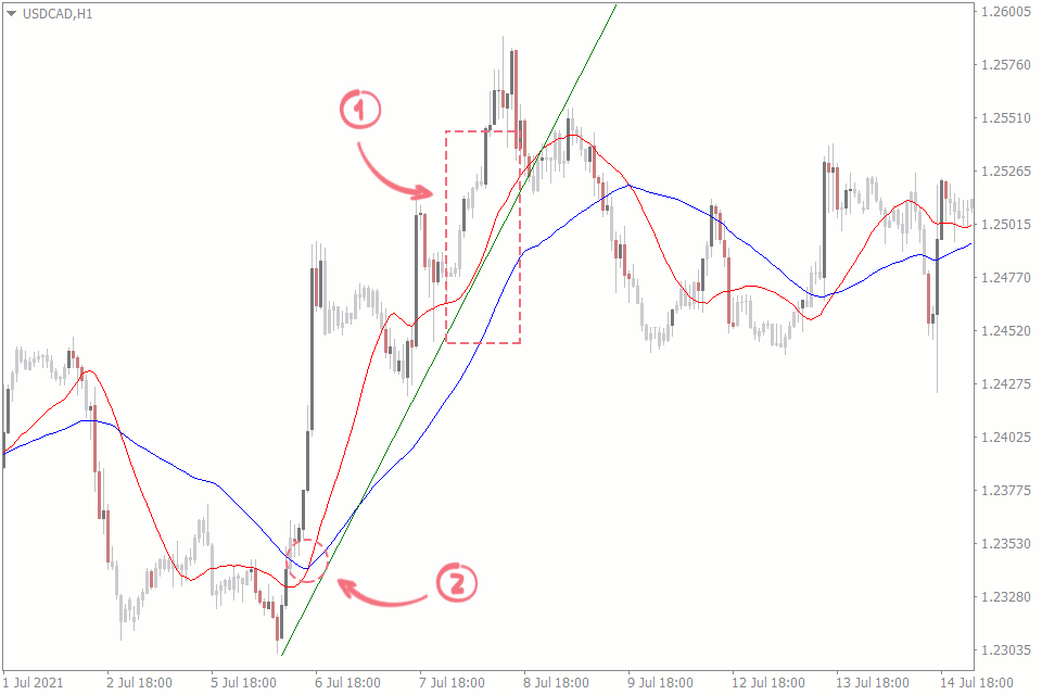 7 Must-Have Price Action Indicators: Free & Paid Picks for Traders