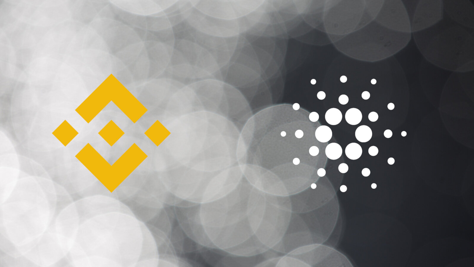 Binance Coin (BNB) vs Cardano (ADA) - What Is The Best Investment?