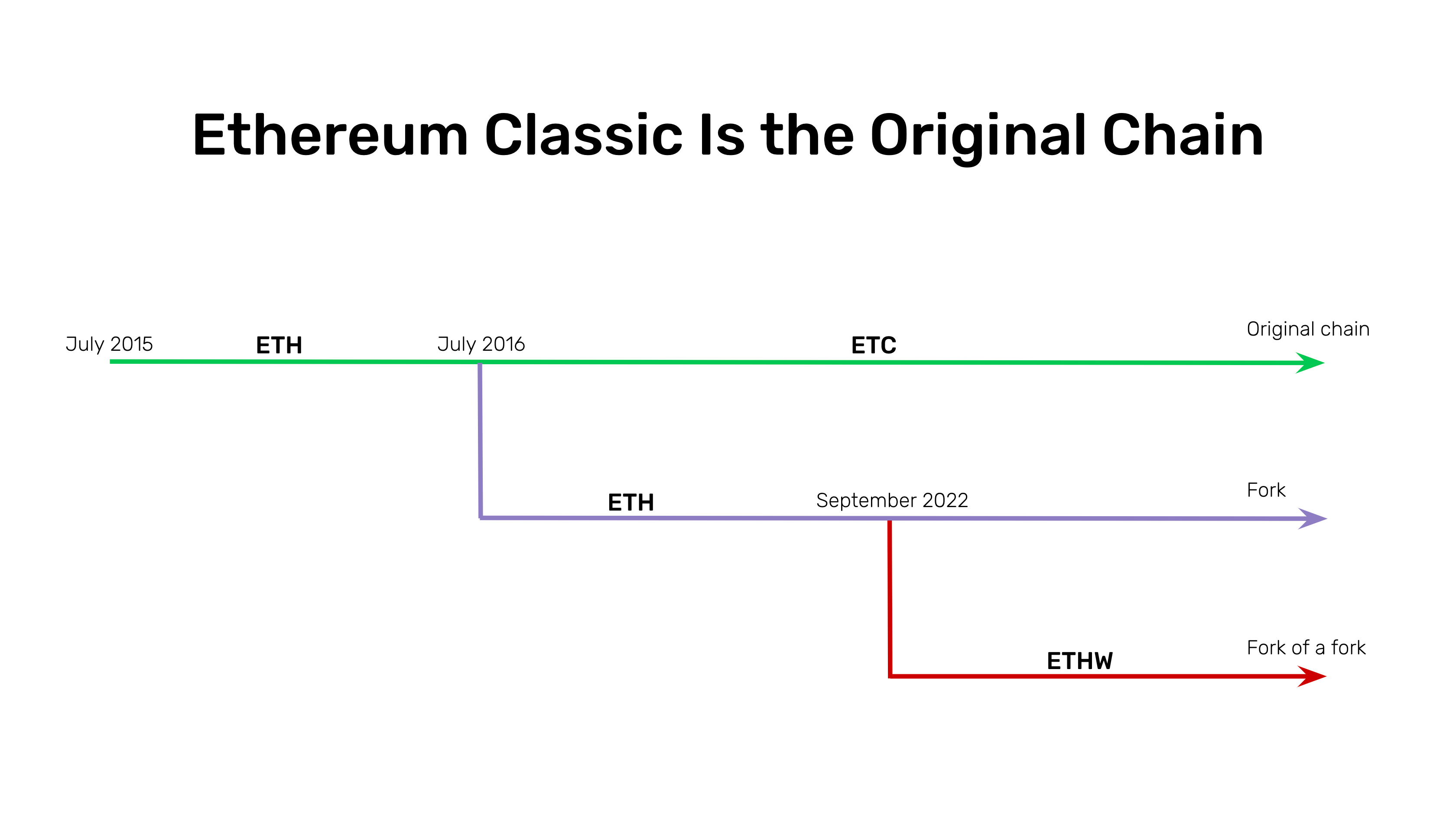 What are forks and how to track them – DL News