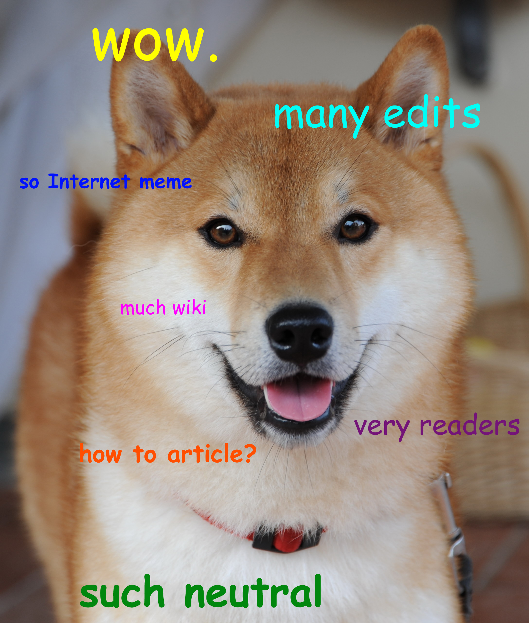 Doge - What does doge mean?