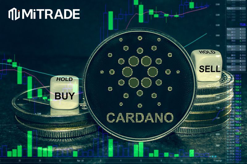 Cardano (ADA) Price Today | ADA Live Price Charts | Revolut United Kingdom