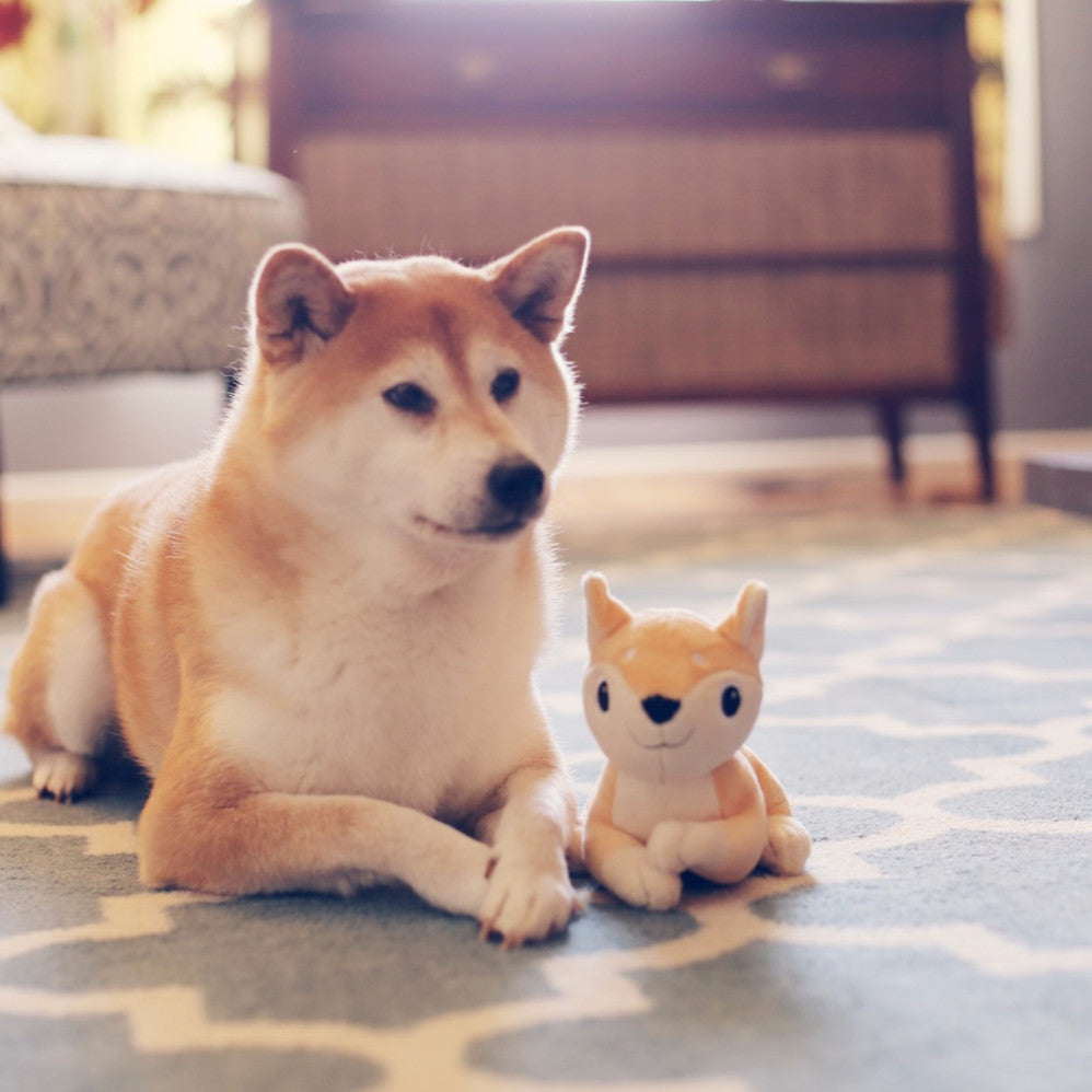 Dog Stuffed Animals: Puppy Plushes | Ty Store