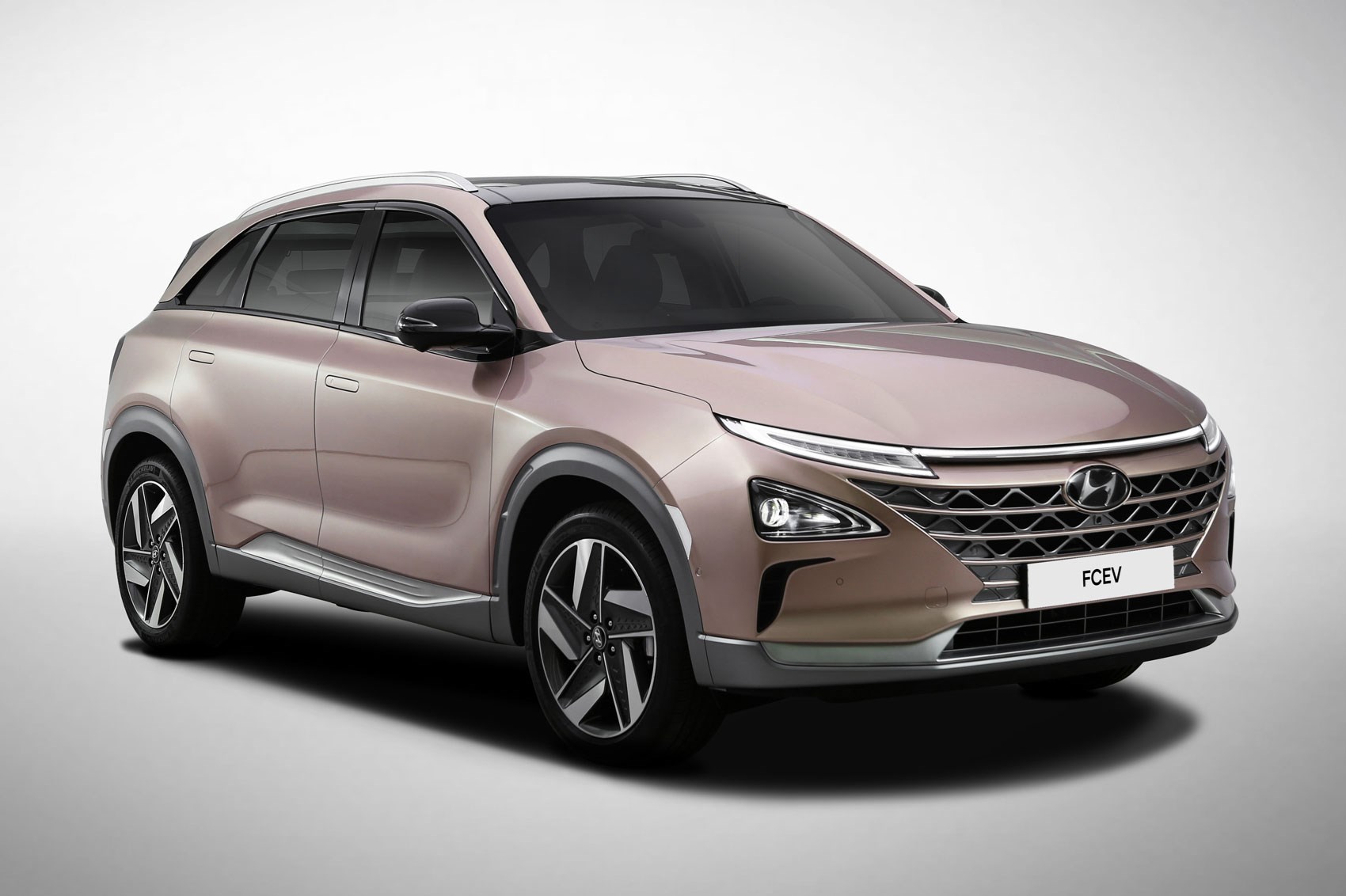 Hyundai Nexo Specifications & Expected Price in India