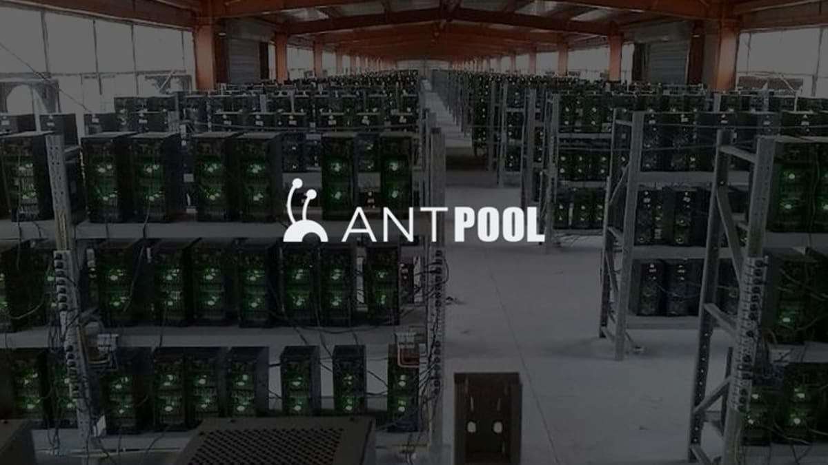 AntPool Reviews | Read Customer Service Reviews of cryptolove.fun