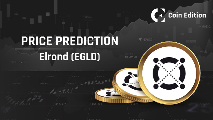 MultiversX Price Prediction up to $ by - EGLD Forecast - 