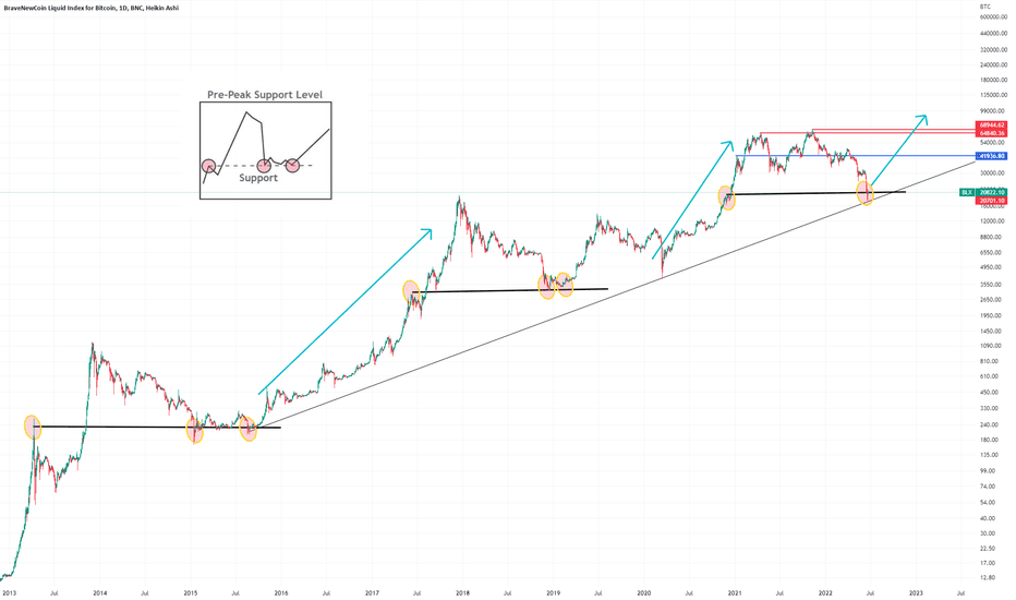 Bitcoin Reaches Fundamental Support Which Could Explain Bears' Inability to Push It Below $30,