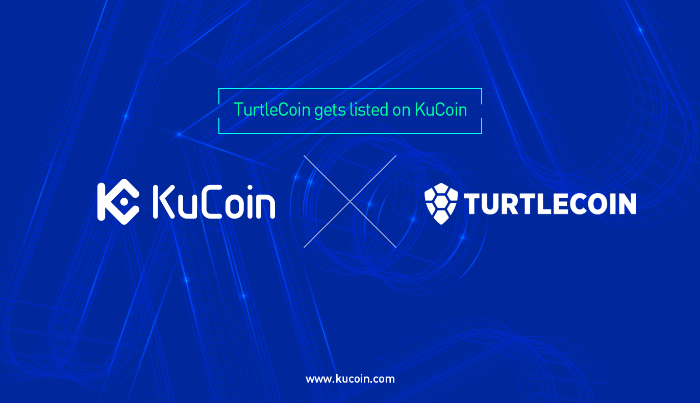 📈 TurtleCoin Price Prediction