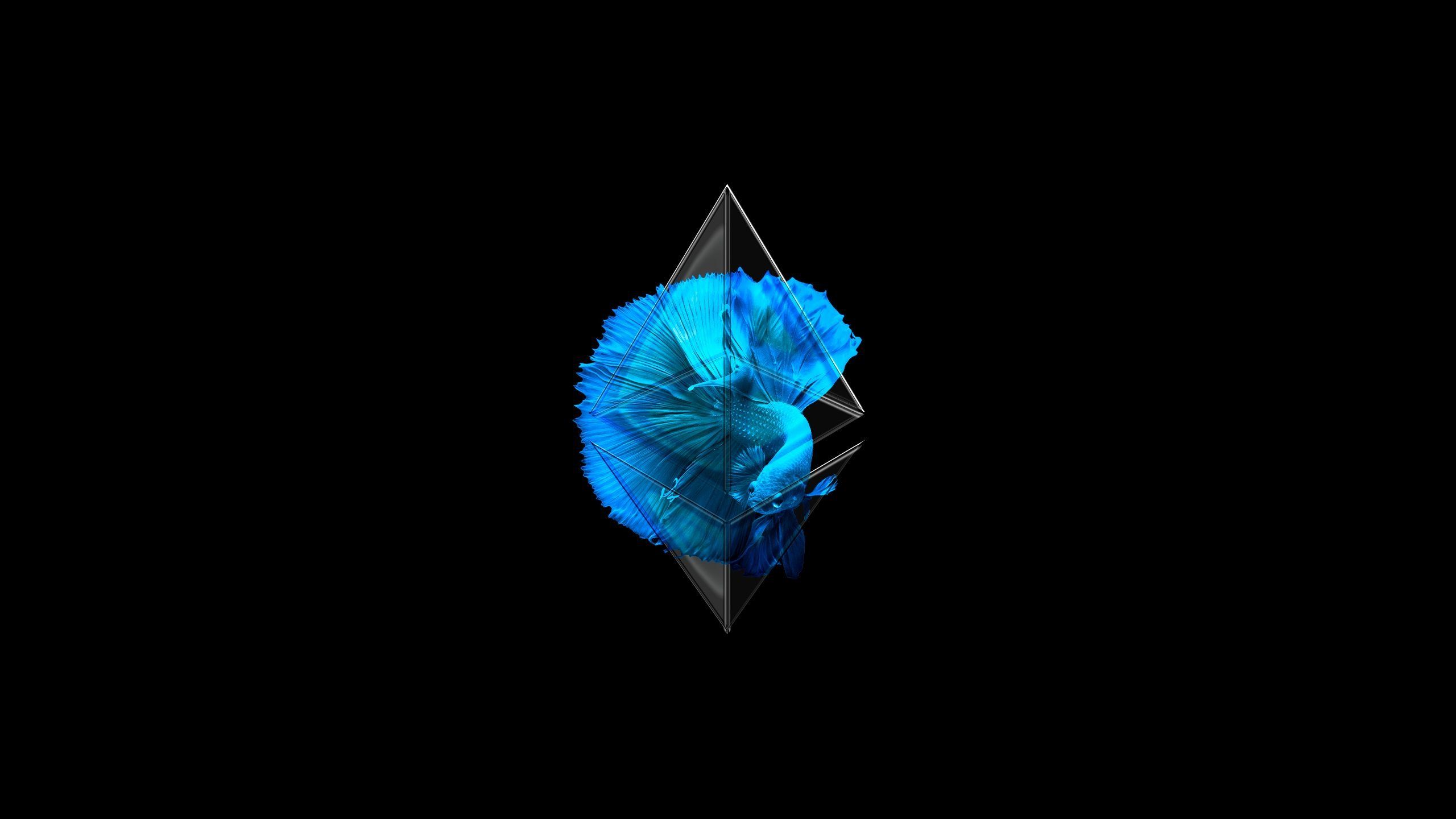 [+] Ethereum Wallpapers | cryptolove.fun