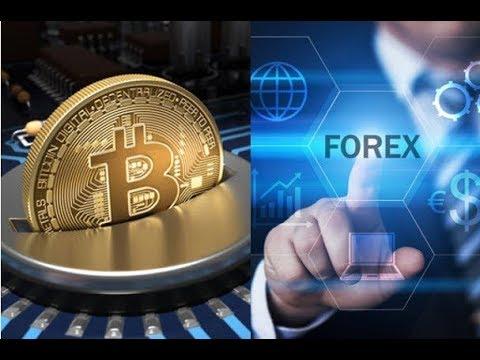 Best Crypto Trading Forex Brokers for 