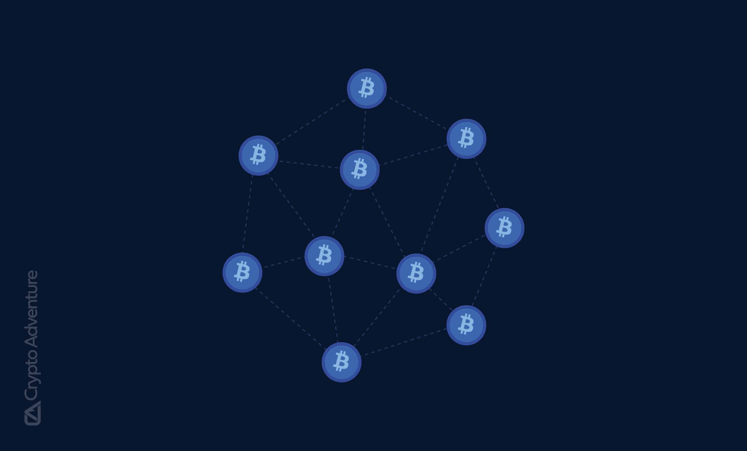 What Are Bitcoin Nodes and Why Do We Need Them?