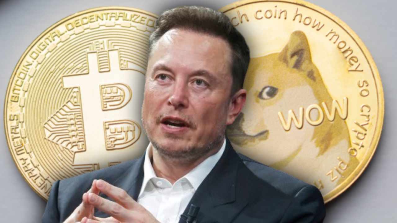 Elon Musk Crypto, Top Meme Coins, Presale Coin, $DOGE. $SHIB, $ETOR