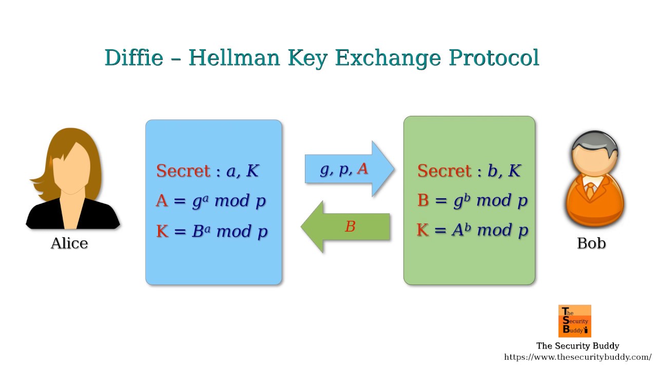 Exchanging Keys for Encryption – Defend Dissent