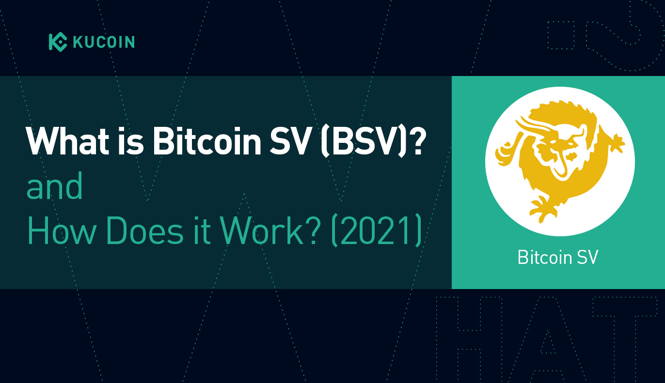 BSV to USD Price Converter & Calculator, Live Exchange Rate | CoinBrain