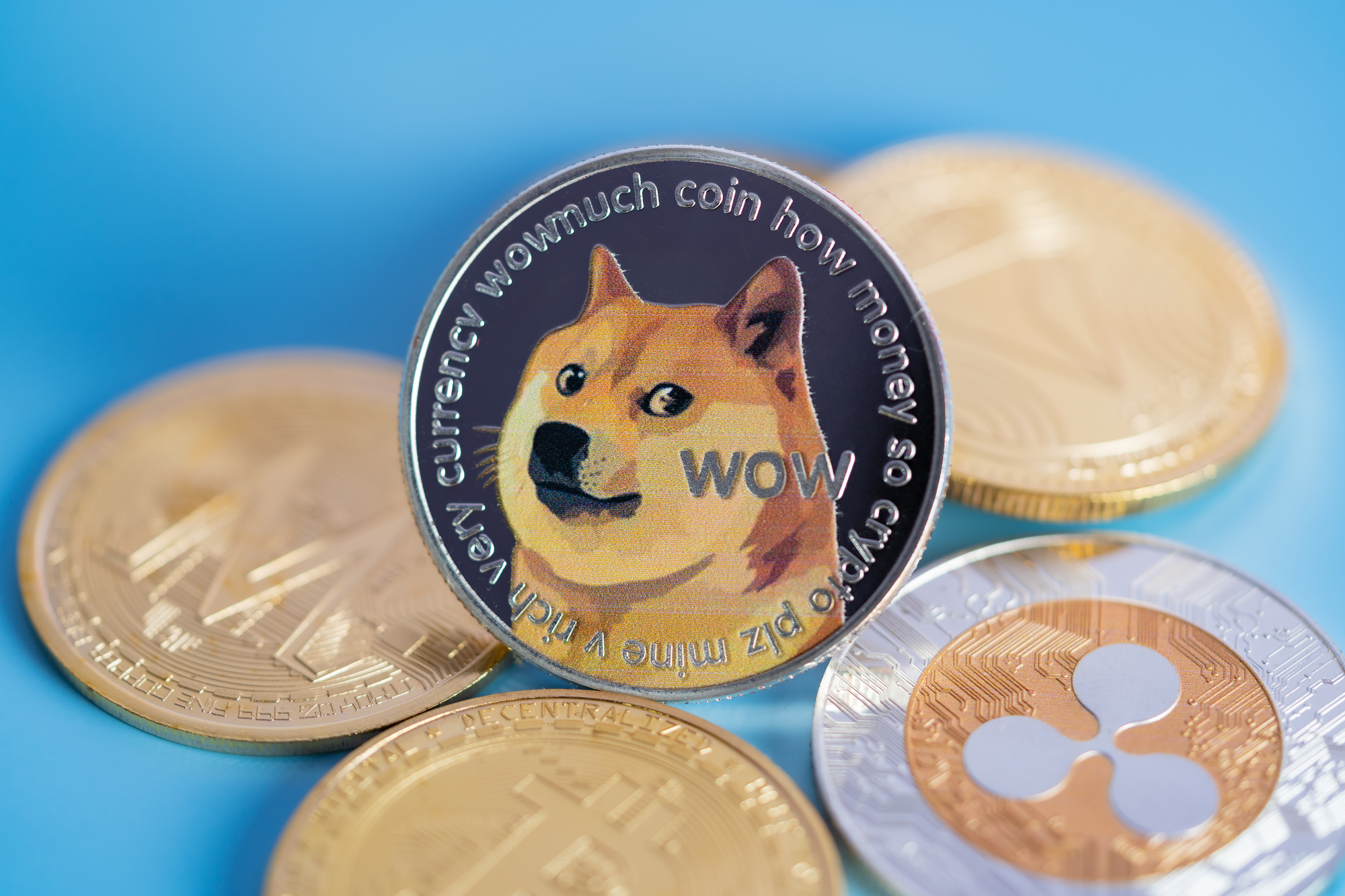 Dogecoin price today, DOGE to USD live price, marketcap and chart | CoinMarketCap