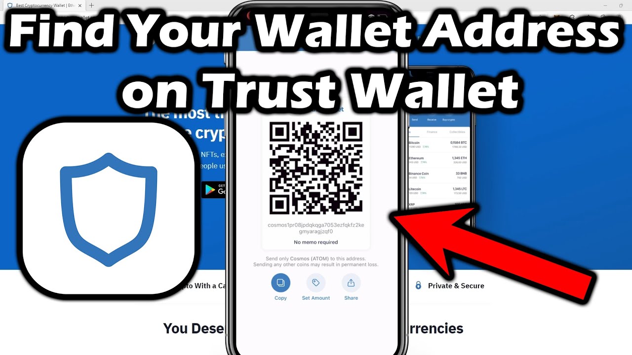 How to Find my Receiving Address? - Basics - Trust Wallet