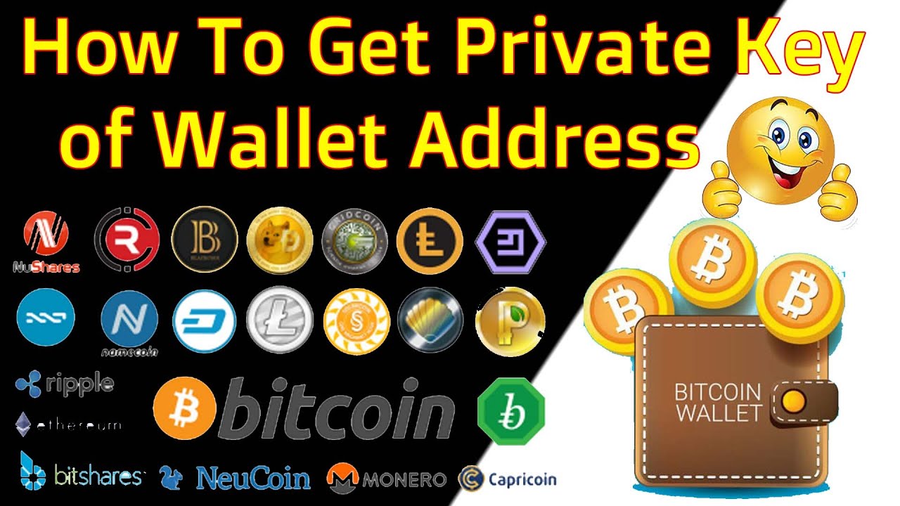 How to get the private key of any bitcoin address and how to find private key wallet - cryptolove.fun