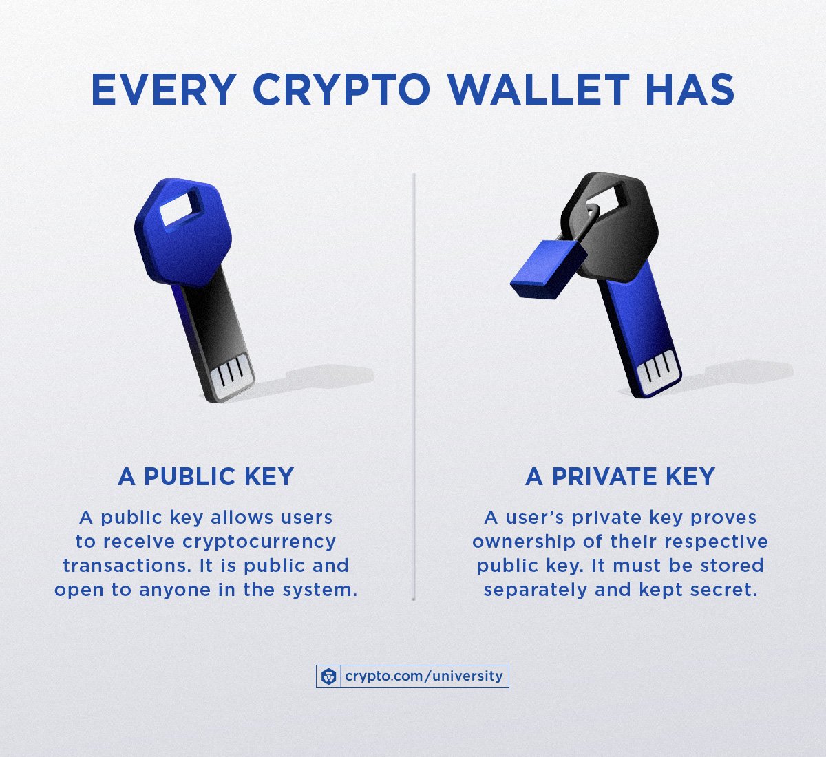 Cryptocurrency Wallet: What It Is, How It Works, Types, Security