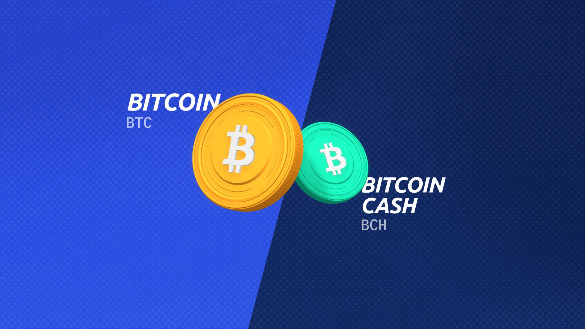 Bitcoin vs Bitcoin Cash: What's the Difference? | CoinCodex