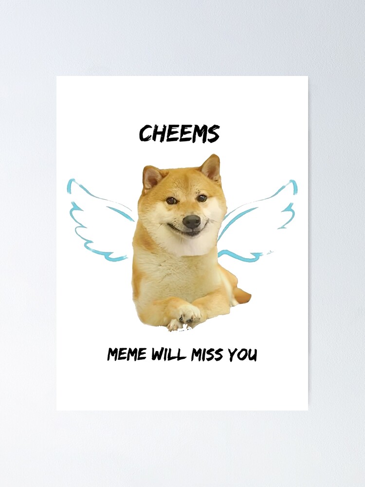 RIP Cheems, Thanks for the memes! Famous dog dies after battling leukemia – India TV