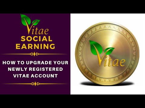 Vitae Price | VITAE Price Today, Live Chart, USD converter, Market Capitalization | cryptolove.fun