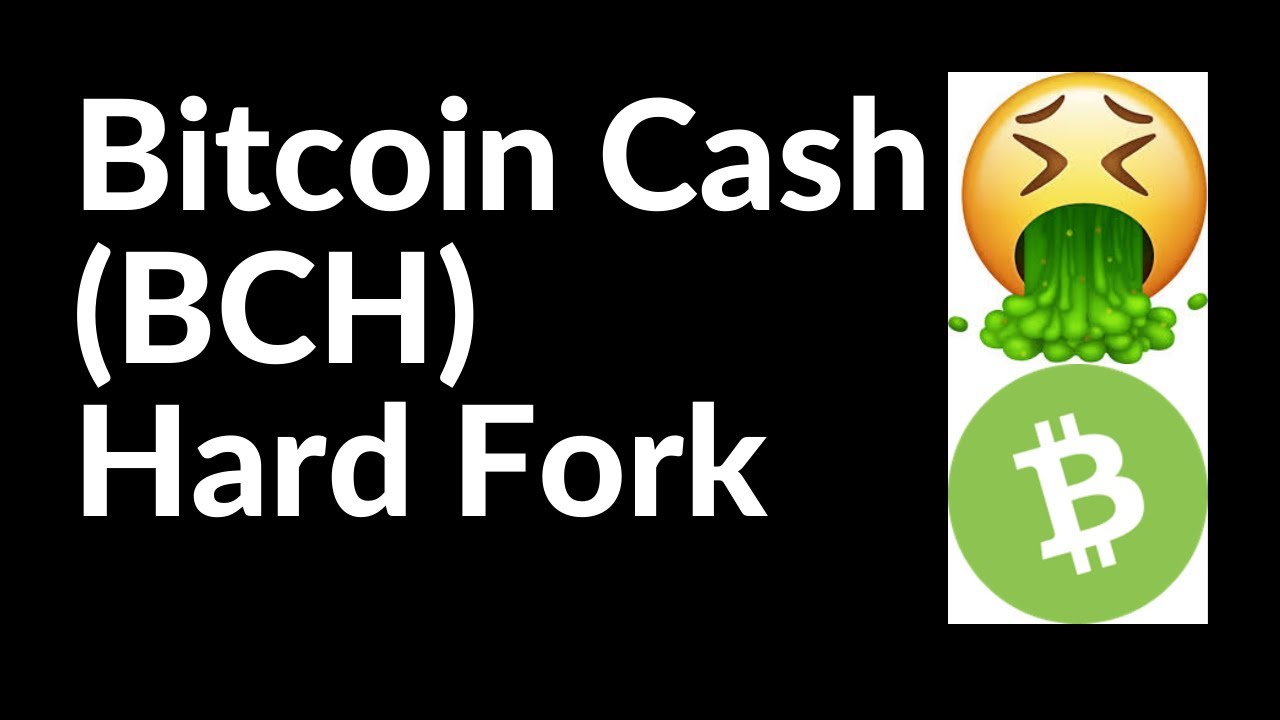 What Is Bitcoin Cash? There’s More Than One Bitcoin | Gemini