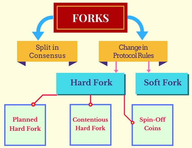 Understanding Hard Forks in Cryptocurrency