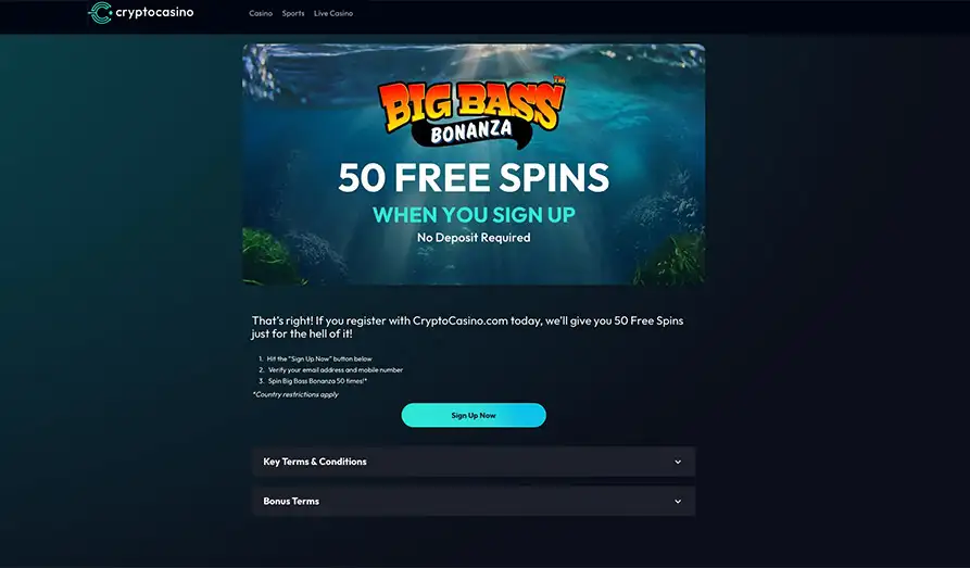 A Quick Look at No Deposit Bonuses and Free Bonus Codes - Casino Bonuses | cryptolove.fun