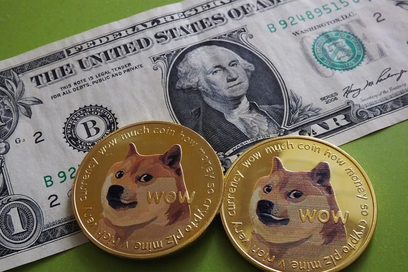 DOGE to USD: Dogecoin Price in Dollar is $ | Mudrex