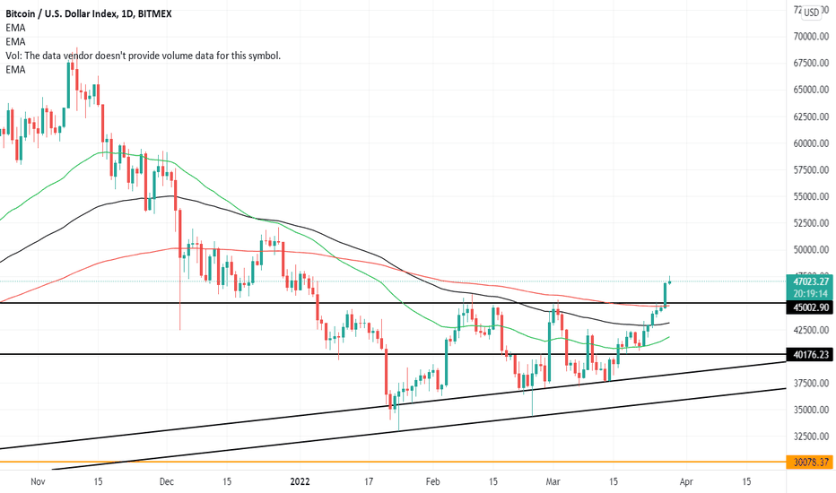 XBIT Price History Chart - All XBT Historical Data