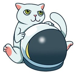 CATCOIN price today, CATS to USD live price, marketcap and chart | CoinMarketCap