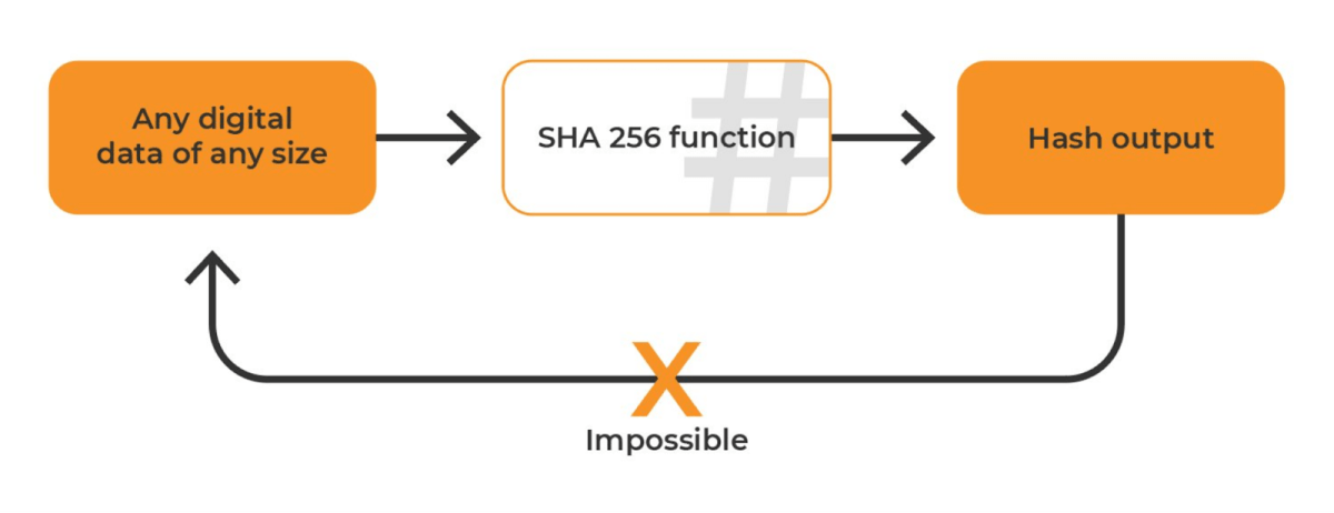 SHA hash calculator | Xorbin